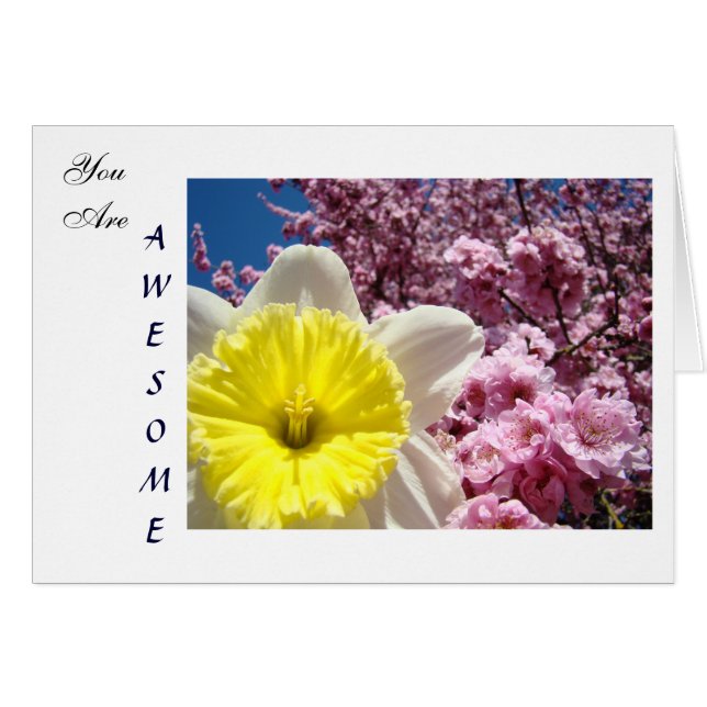 Anpassade kort Du är fantastisk! Blommor Blommar (Framsidan Horizontal)