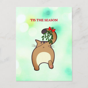 Anpassade lustig helgdag cat svan mistletoe vykort