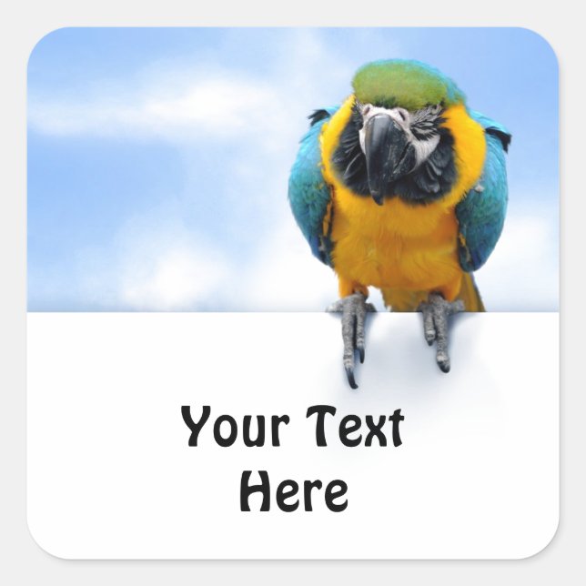 Anpassade Macaw Fyrkantigt Klistermärke (Framsida)