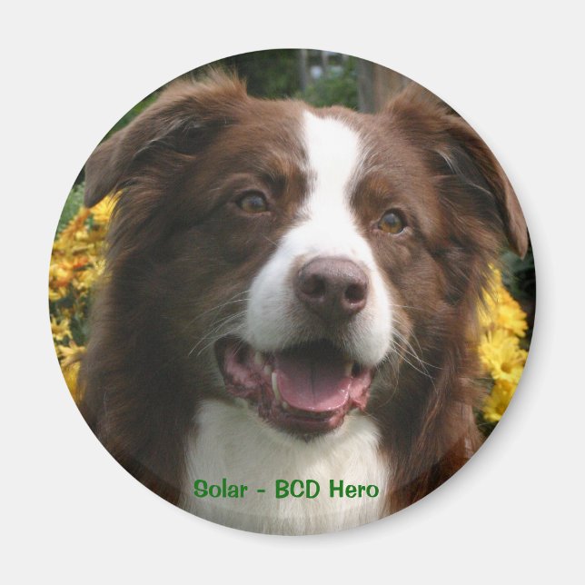 Anpassade Magnet (Framsidan)