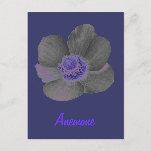 Anpassade Mörk Dreams Anemone Flower Postcard Vykort (Framsida)