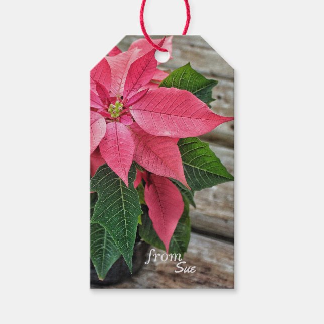 Anpassade namn Rustic Poinsettia Gift-Märkre Presentetikett (Framsidan)
