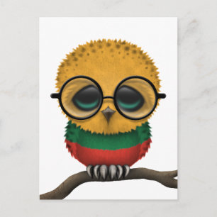 Anpassade Nerdy Litauiska Chicen Baby Uggla Vykort