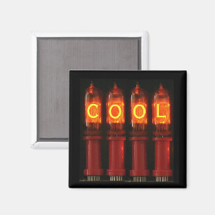 Anpassade Nixie Tube Magnet