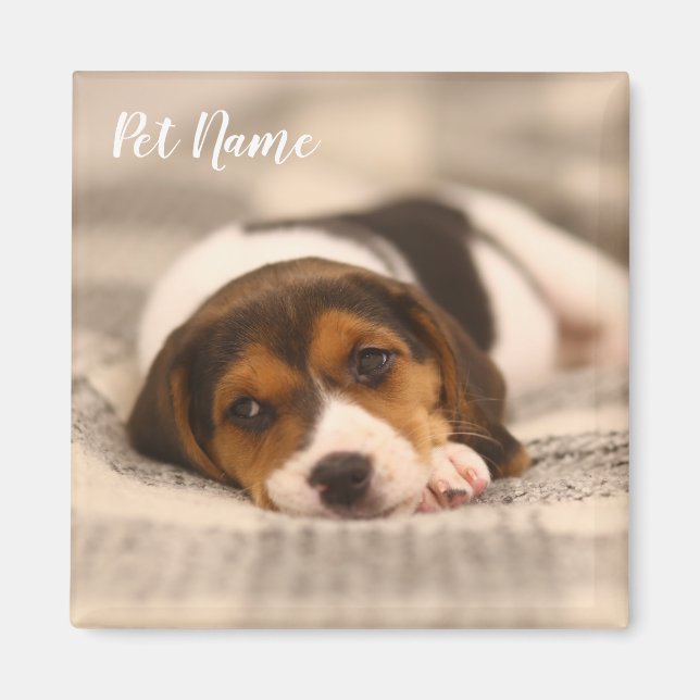 Anpassade Pet Magnet med Photo och Namn (Framsidan)