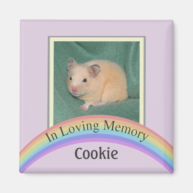 Anpassade Photo Pet Memorial (Mauve) Magnet (Framsidan)