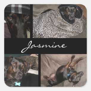 Anpassade Photos Collage Monogram Hund älskare Fyrkantigt Klistermärke