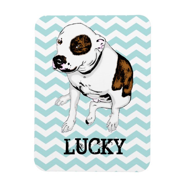 Anpassade Pit Bull Teal Chevron Fridge Magnet (Vertikal)
