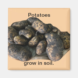 Anpassade potatis magneter, skördade magnet