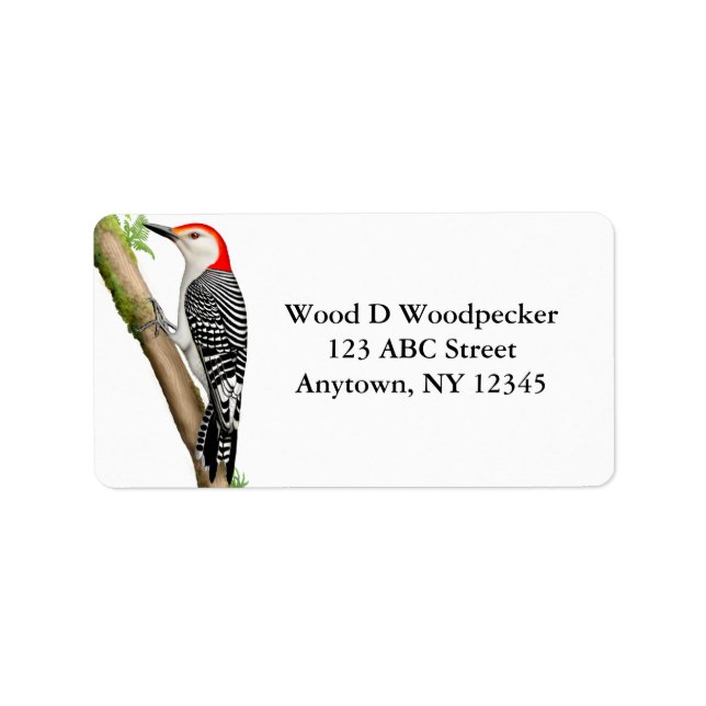 Anpassade Red Belllied Woodpecker-etikett Adressetikett (Framsidan)