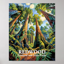 Anpassade Redwoods National Park California Van Go