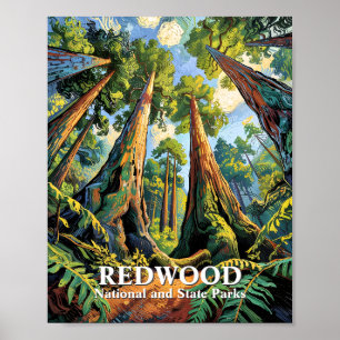 Anpassade Redwoods National Park California Van Go Poster
