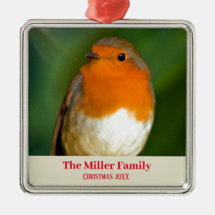 Anpassade Robin Red Breast Julgransprydnad Metall