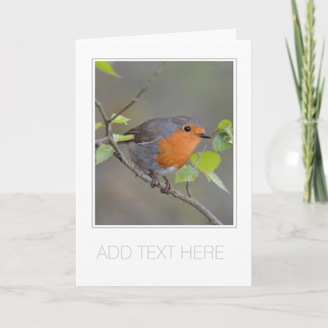 ANPASSADE "ROBIN REDBREAST" GREETINGKORT KORT (Framsida)