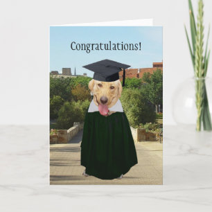 Anpassade Rolig hund/Lab Studenten Kort