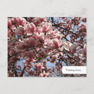 Anpassade Rosa Magnolia Blommars vykort