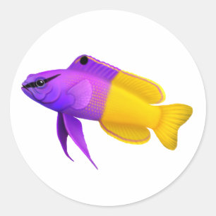 Anpassade Royal Gramma Reef Fish Sticker Runt Klistermärke