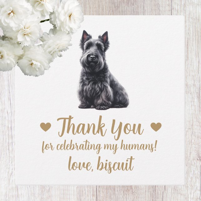 Anpassade Scottish Terrier Hund Bröllopspresent Ta Gåvor Etiketter (Skapare uppladdad)