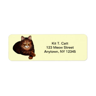 Anpassade Spipande Brown Tabby katt-etikett Returadress Etikett