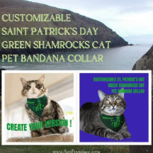 Anpassade St. Patrick's Day Grönt Shamrocks Cat