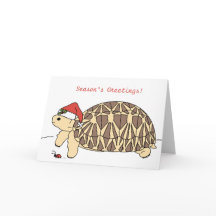 Anpassade Star Tortoise-julkort