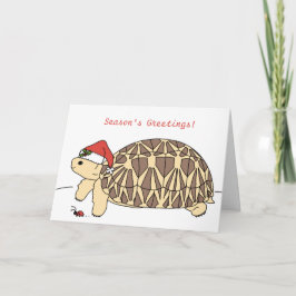 Anpassade Star Tortoise-julkort Helgkort