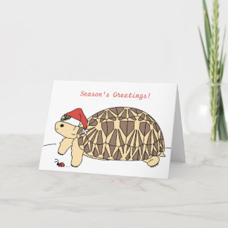 Anpassade Star Tortoise-julkort Helgkort
