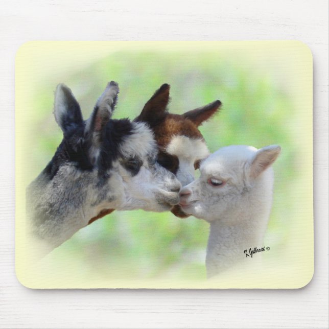 Anpassade tre Alpacas Mousepad Musmatta (Framsidan)