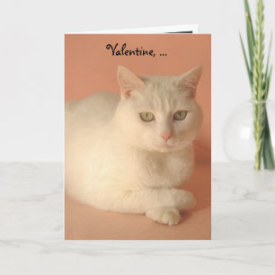 Anpassade Valentine Cats Helgkort