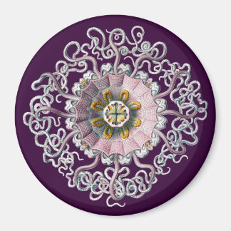 Anpassade Vintage Haeckel Magnet