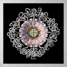 Anpassade Vintage Haeckel Poster