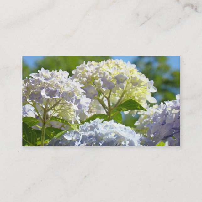 Anpassade visitkort Blå Hydrangea Blommor (Framsida)