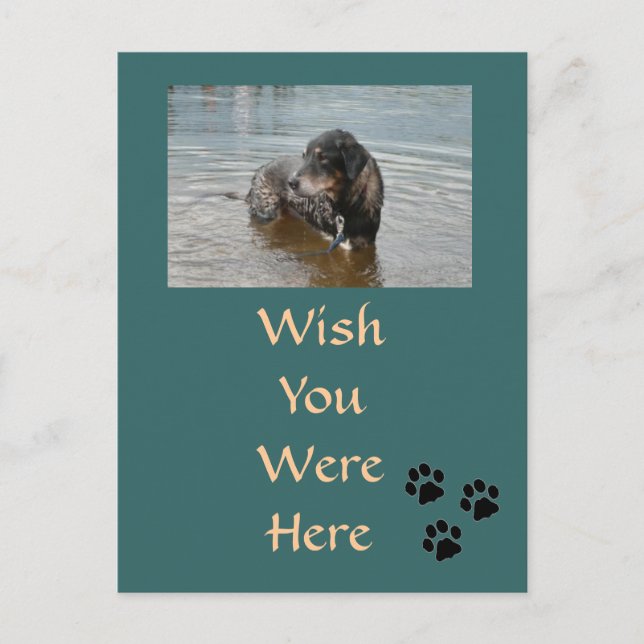 Anpassade vykort (Framsida)