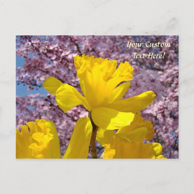 Anpassade vykort Narcissblommor Blommar (Framsida)