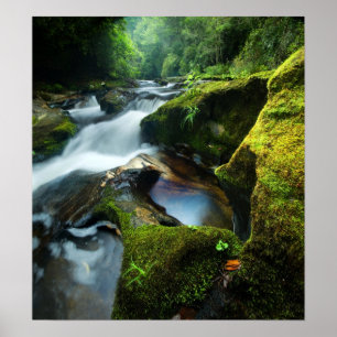 Anpassadeaffisch: Chattooga flodvattenfall Poster