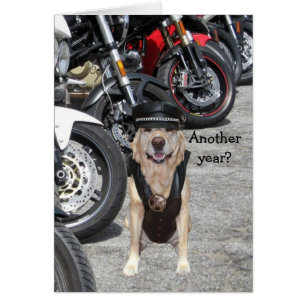 Anpassadebikerlabb Hälsningskort