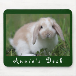 AnpassadeHolland Lop kanin Musmatta