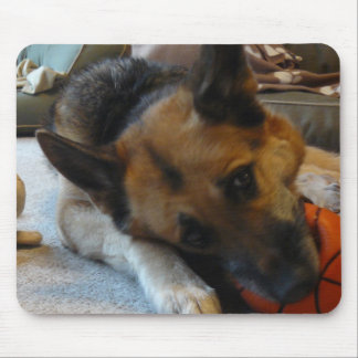 Anpassademusen vadderar musmatta