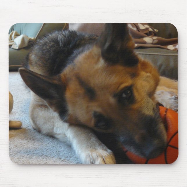 Anpassademusen vadderar musmatta (Framsidan)