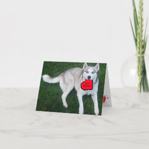 Anpassadesiberian husky med röd hjärta helgkort