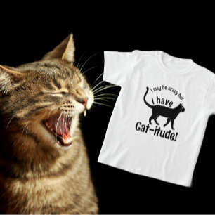 Anpassadet är populärt färglöst och jag har Har ka T Shirt