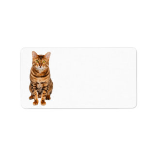 Anpassadet Bengal Kitten Address Label. Adressetikett