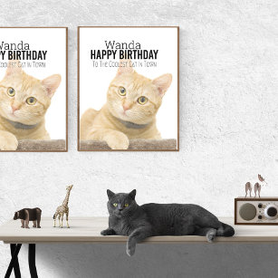 Anpassadet Coolest Cat Birthday Poster