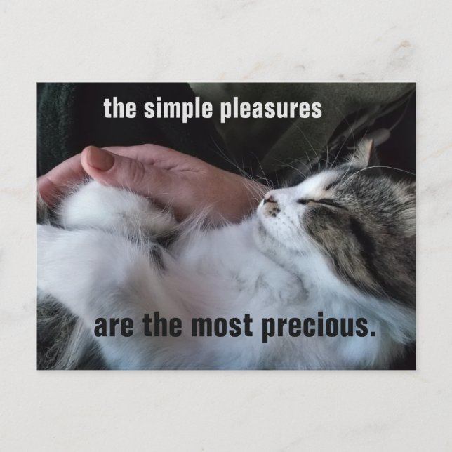 Anpassadet Cute Kitten Quote Simple Pleasures Vykort (Framsida)