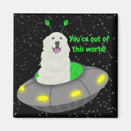 Anpassadet Du är ute ur världen! Magnet