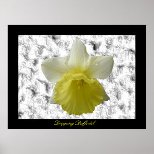 Anpassadet Hämta Daffoldil Skriv ut Poster