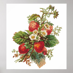Anpassadet Jordgubbsblommor Poster