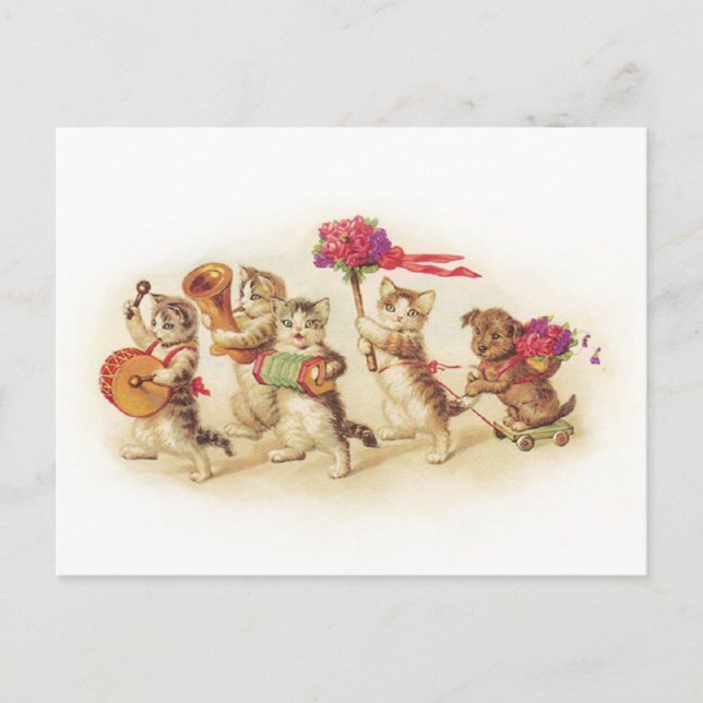 Anpassadet Kitten Firande under 1920-talet Vykort (Framsida)