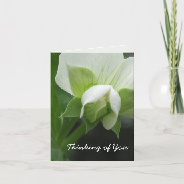 Anpassadet Kort - helt (Framsida)