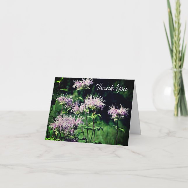 Anpassadet lila Bee Balm Flower Tack för ditt kort (Framsida)